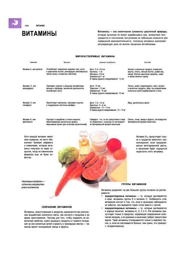 Плакат витамины,жирорастворимые витамины