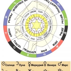 Плакат основы медицинской астрологии